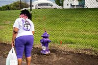 Prince:  Purple Fan At Purple Fire Hydrant