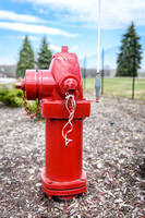 Prince:  Westside Fire Hydrant with Purple Ribbon