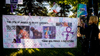 Gallery, September 8, 2016 Paisley Park Fence, 3 of 3