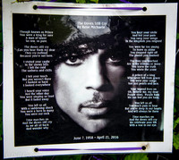 Prince:  The Doves Still Cry, Rene Michaele