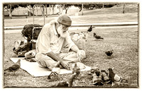 Feeding Pigeons, California Beach