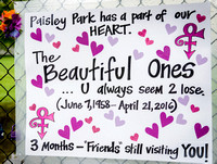 Paisley Park has My Heart