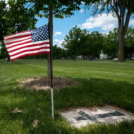 Vietnam War:  U.S. Flag, Memorial Garden, Minneapolis, MN
