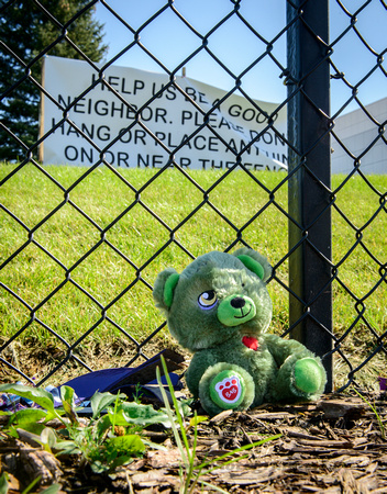 Green Teddybear Lying Next to Fence