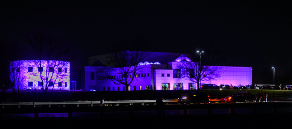 Prince:  Prince's Home At Night