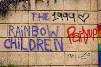 Prince:  Rainbow Children