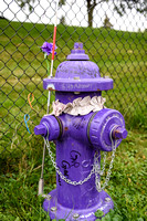 Paisley Park Path Purple Fire Hydrant