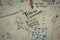 Prince:  Prince Riley Tunnel:  Teleise, Cleveland, OH