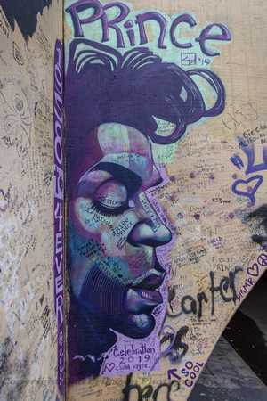 Prince:  Prince Riley Tunnel:  Prince Portrait Painting By Cbabi Bayoc