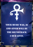 Prince: Your Music Is The Soundtrack Of Our Lives, Catharnia & Barry Delfgauw, Netherlands