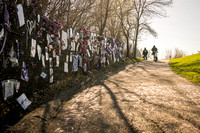 Prince:  Memorial Fence, Path & Fans