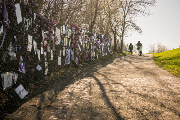 Prince:  Memorial Fence, Path & Fans