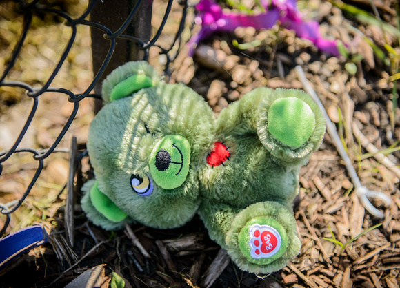 Green Teddybear Lying by Fence