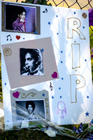 Three Prince Pictures. Paisley Park May 6, 2016
