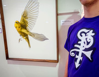 Icon Shirt by Yellow Warbler Photograph