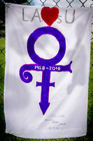 Happy Birthday Prince. June 7, 2016.