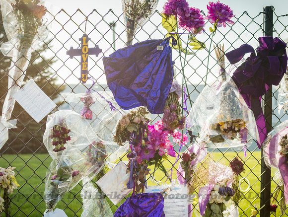 Prince:  Cross of Love. Paisley Park May 6, 2016