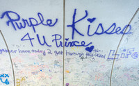 Purple Kisses For You